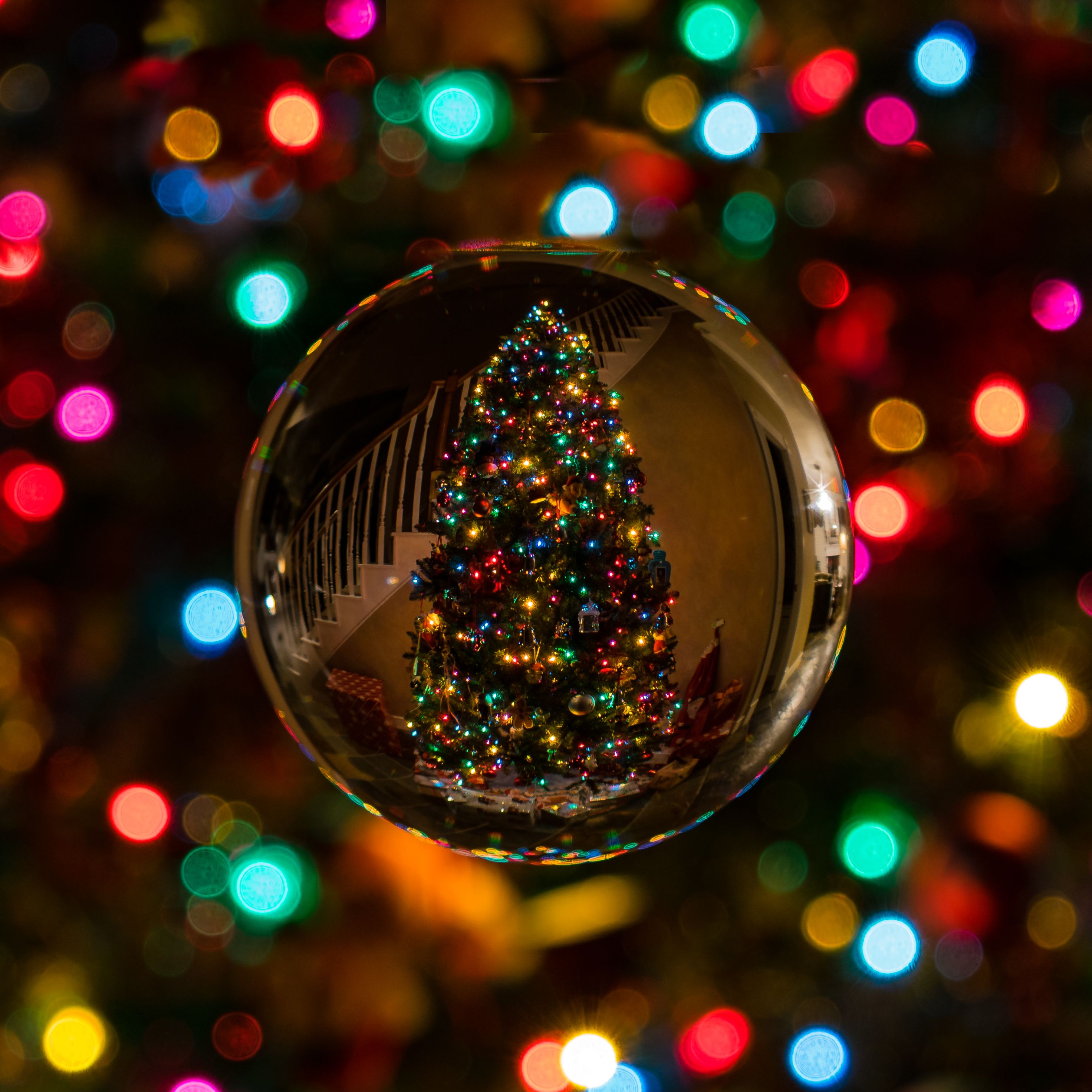 Natale