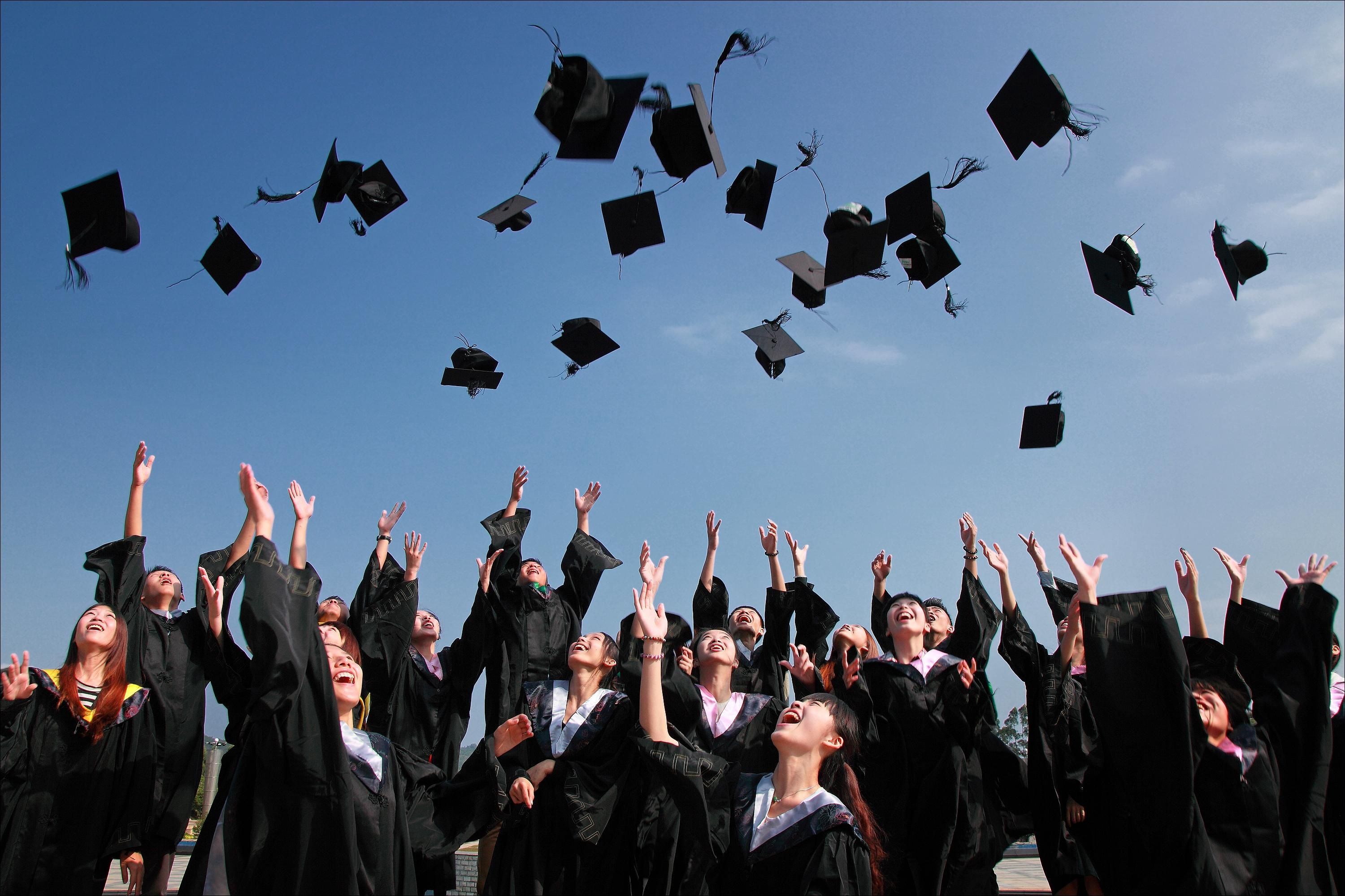 Laurea